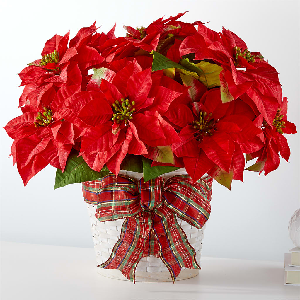 Happiest Holidays Poinsettia – Designs By Debbie, Cassville MO