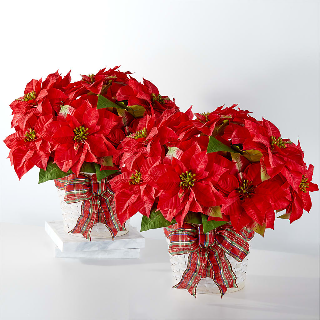 Happiest Holidays Poinsettia Bundle – Designs By Debbie, Cassville MO