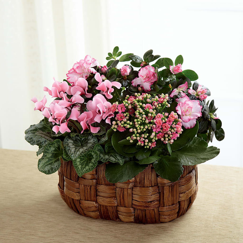 Pink Assortment – Designs By Debbie, Cassville MO