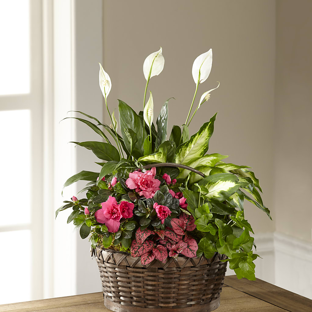 Dream in Pink Dishgarden – Designs By Debbie, Cassville MO