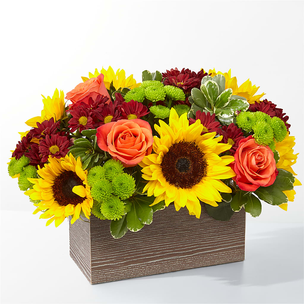 Happy Harvest Garden – Designs By Debbie, Cassville MO