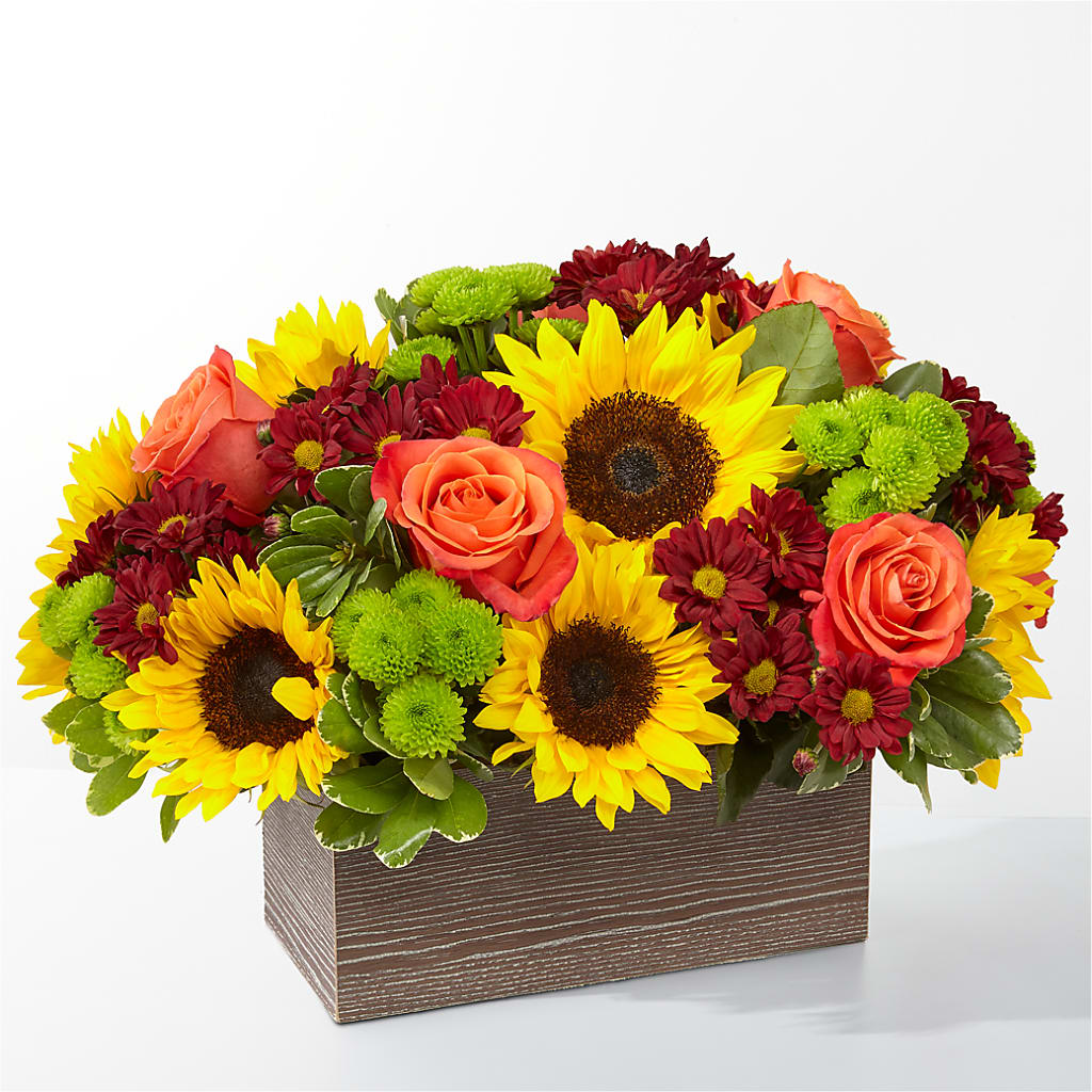 Happy Harvest Garden – Designs By Debbie, Cassville MO