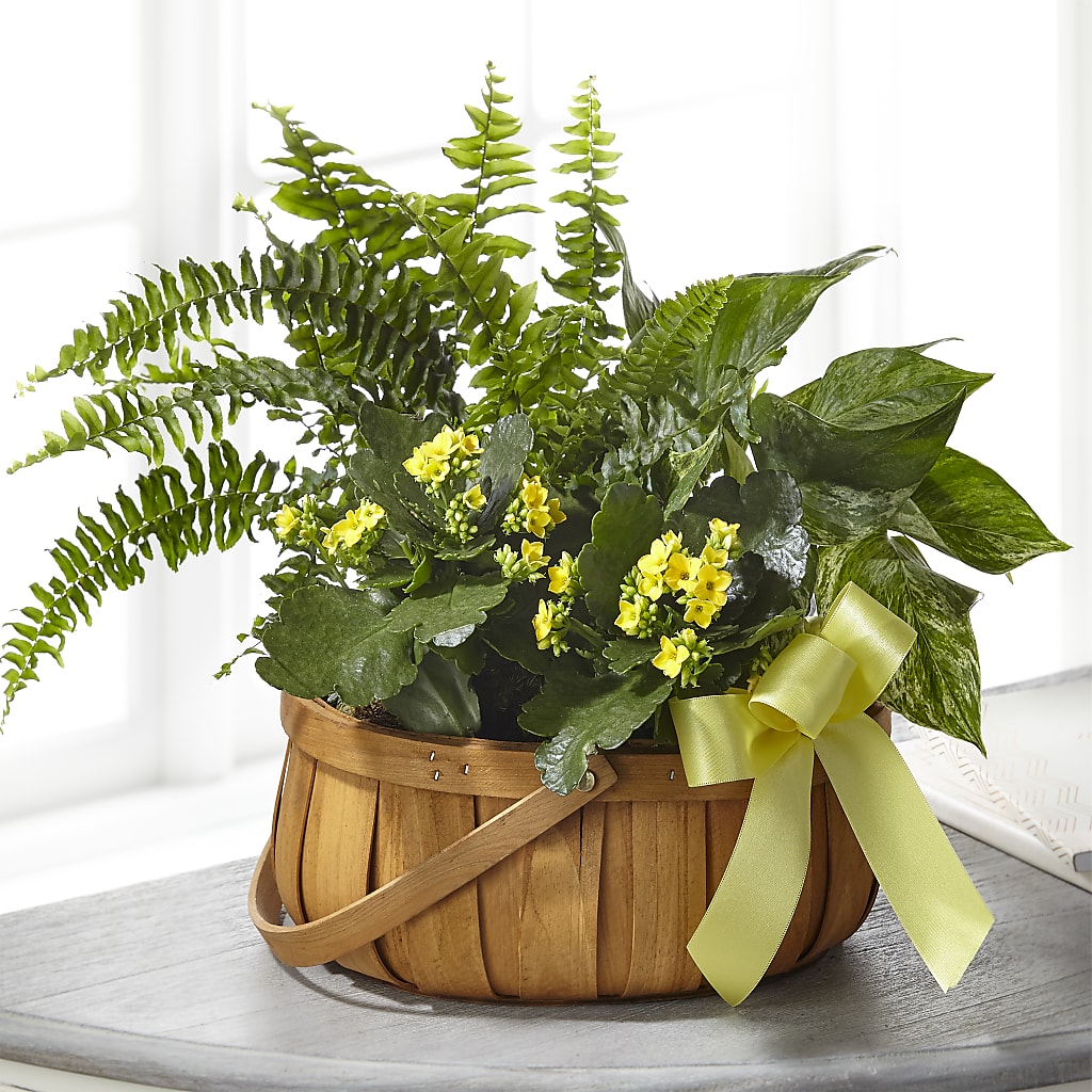 Always Dear Dishgarden – Designs By Debbie, Cassville MO