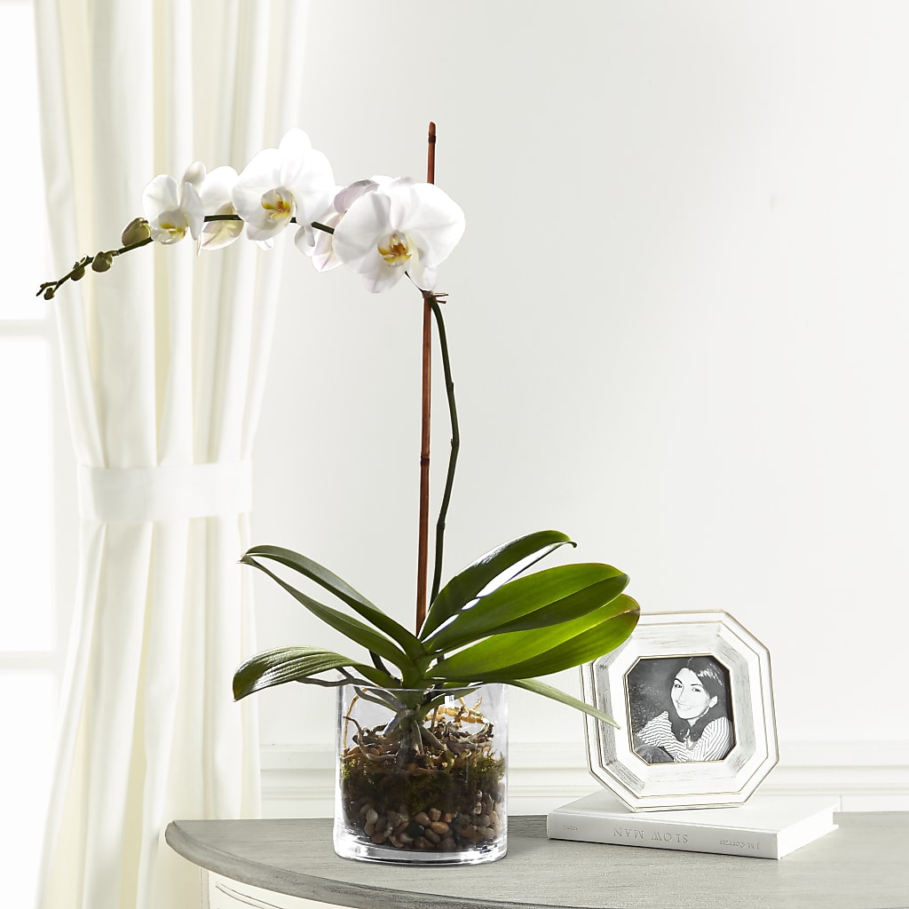White Orchid Planter – Designs By Debbie, Cassville MO