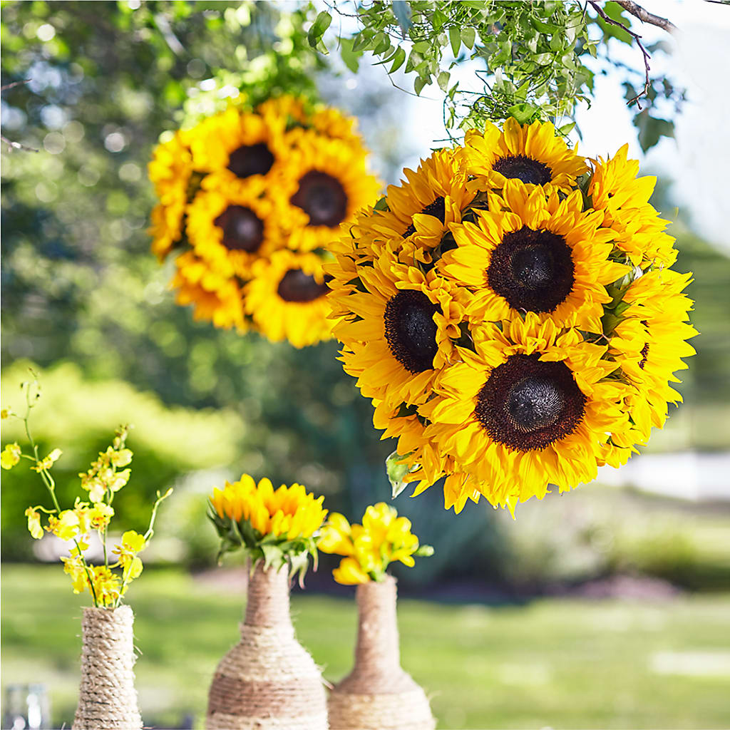 Sublime Garden Hanging Arrangement – Designs By Debbie, Cassville MO