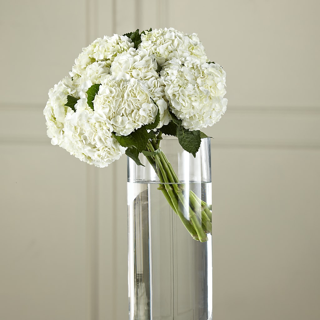 White Hydrangea Hand-Tied Bouquet – Designs By Debbie, Cassville MO