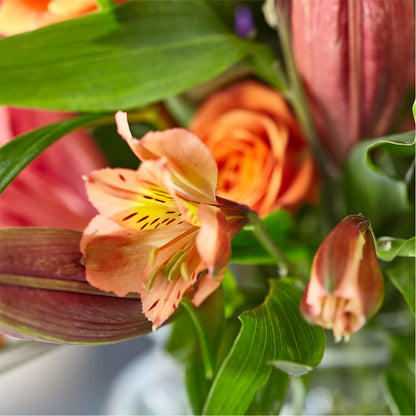 Bold & Bright – A Florist Original –  Designs By Debbie, Cassville MO