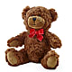 Adorable Plush Bear –  Designs By Debbie, Cassville MO