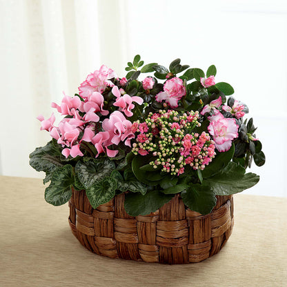Pink Assortment –  Designs By Debbie, Cassville MO