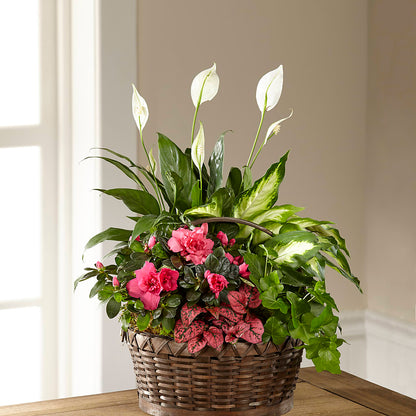 Dream in Pink Dishgarden –  Designs By Debbie, Cassville MO