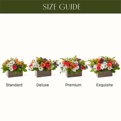 Oopsie Daisy Box Bouquet –  Designs By Debbie, Cassville MO