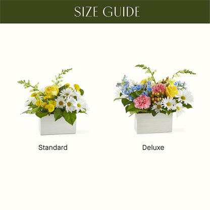 Sun Salutation Box Bouquet –  Designs By Debbie, Cassville MO