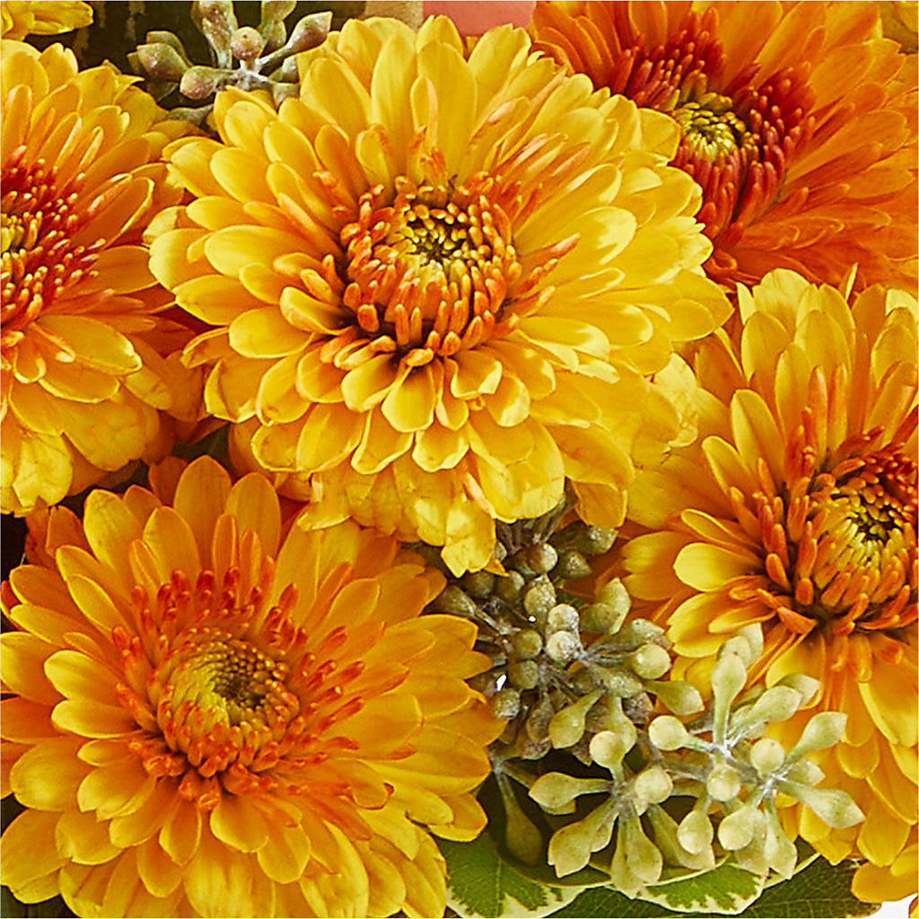 Peachy Pumpkin –  Designs By Debbie, Cassville MO