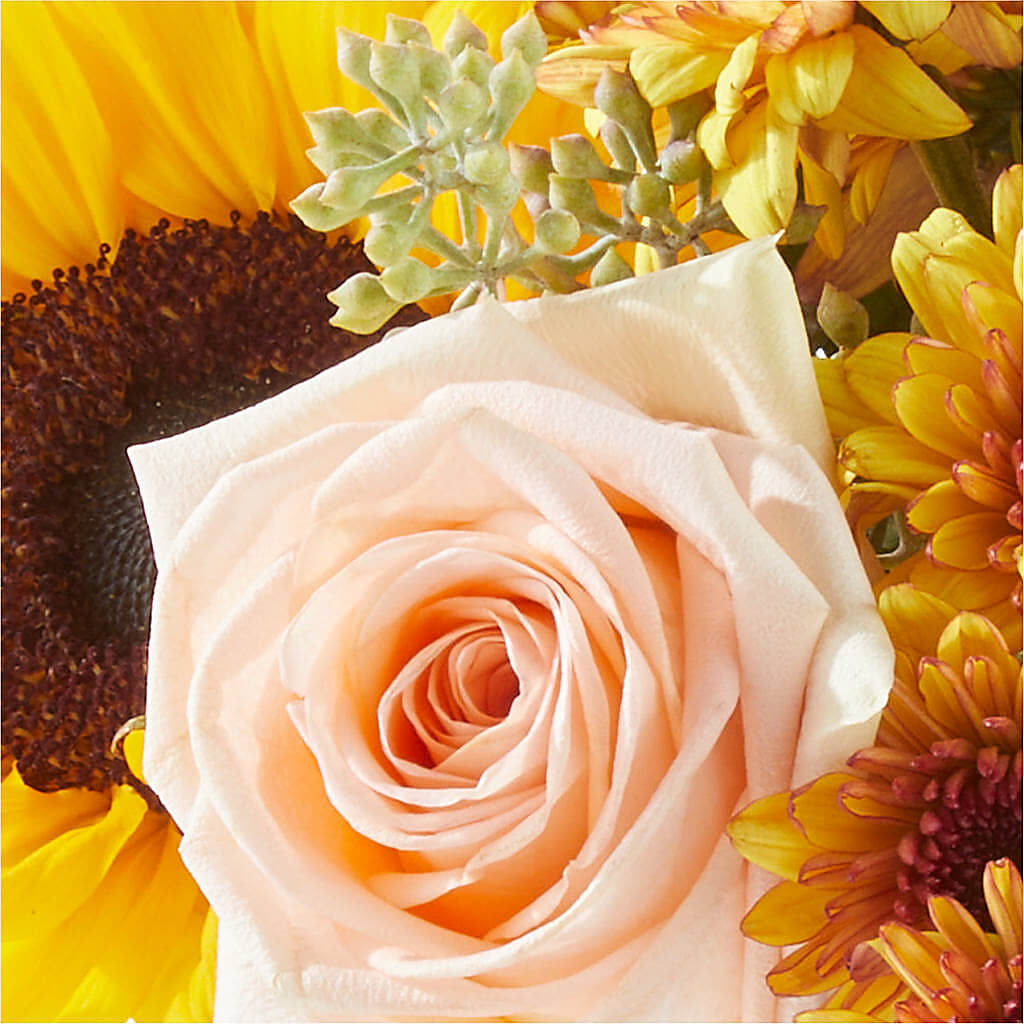 Pumpkin to Talk About Bouquet –  Designs By Debbie, Cassville MO