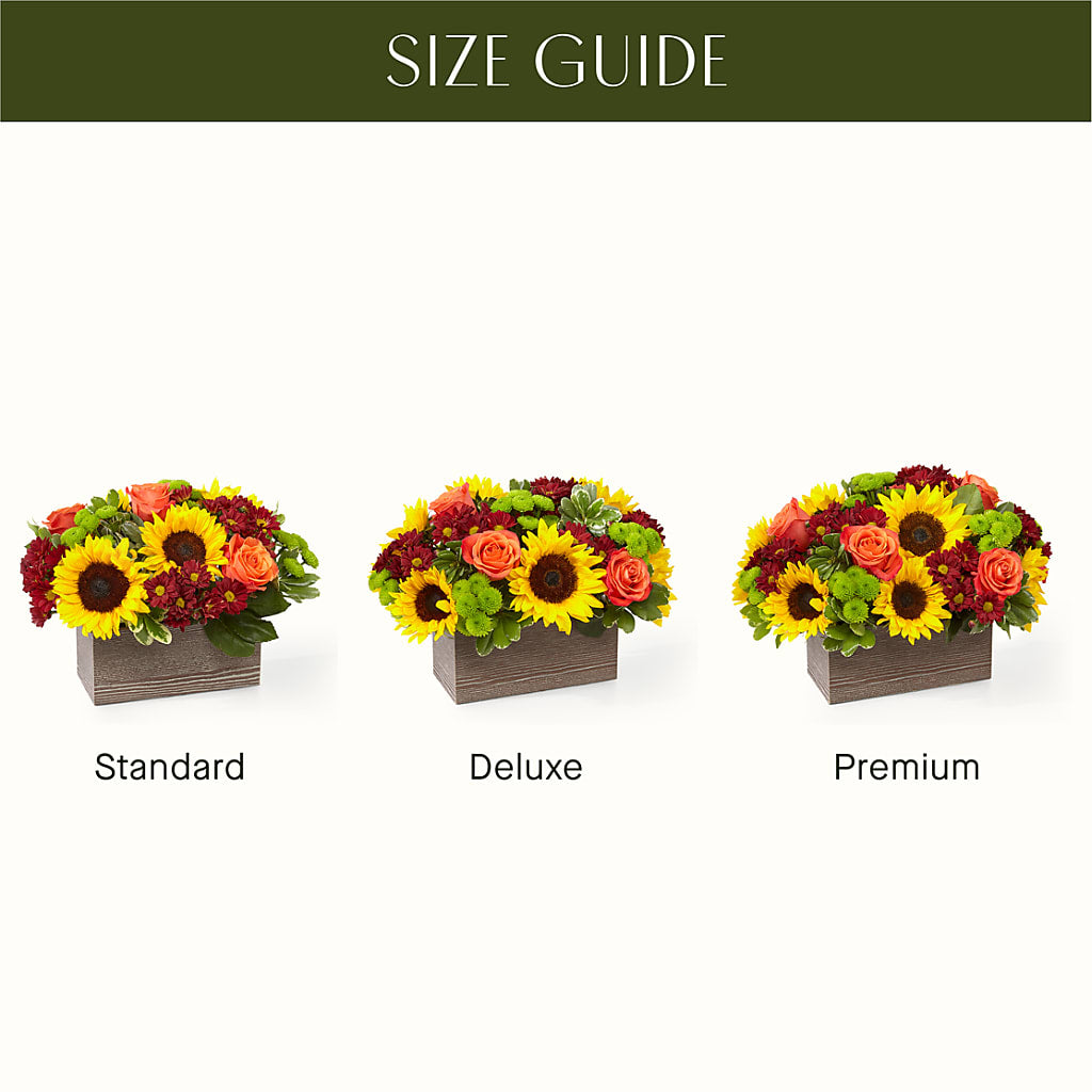 Happy Harvest Garden –  Designs By Debbie, Cassville MO