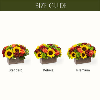Happy Harvest Garden –  Designs By Debbie, Cassville MO