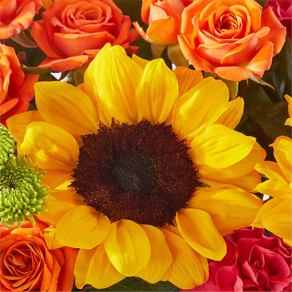 Sun-drenched Blooms Box Bouquet –  Designs By Debbie, Cassville MO