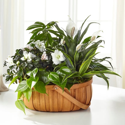 Serene Dishgarden –  Designs By Debbie, Cassville MO