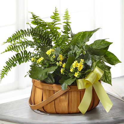 Always Dear Dishgarden –  Designs By Debbie, Cassville MO