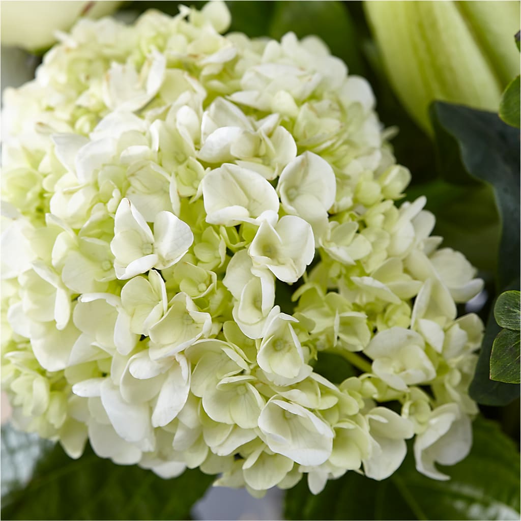 Classic Ivory – A Florist Original –  Designs By Debbie, Cassville MO