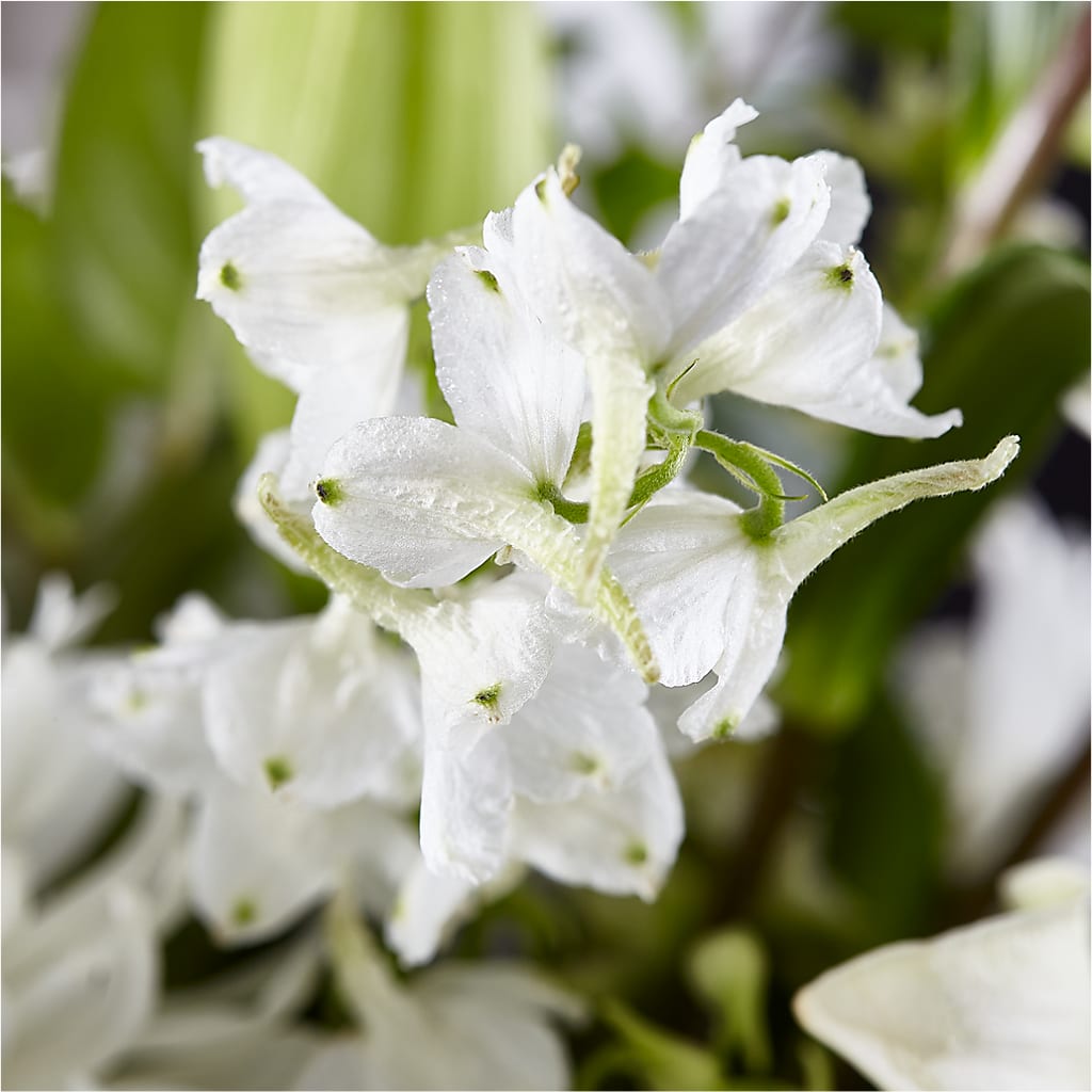 Classic Ivory – A Florist Original –  Designs By Debbie, Cassville MO