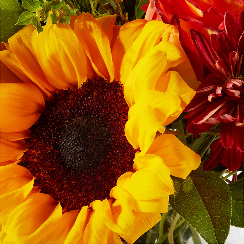 Harvest Festival Bouquet –  Designs By Debbie, Cassville MO