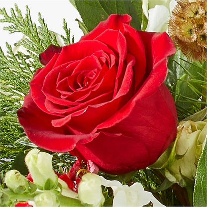 Deck the Halls Bouquet –  Designs By Debbie, Cassville MO