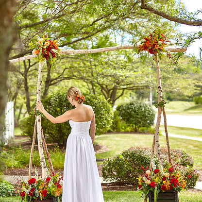 Arbor of Love Archway –  Designs By Debbie, Cassville MO