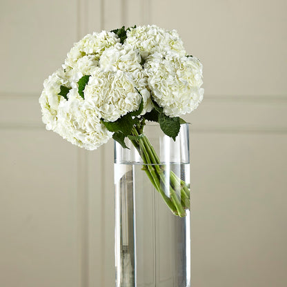 White Hydrangea Hand-Tied Bouquet –  Designs By Debbie, Cassville MO