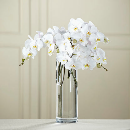 White Phalaenopsis Bouquet –  Designs By Debbie, Cassville MO